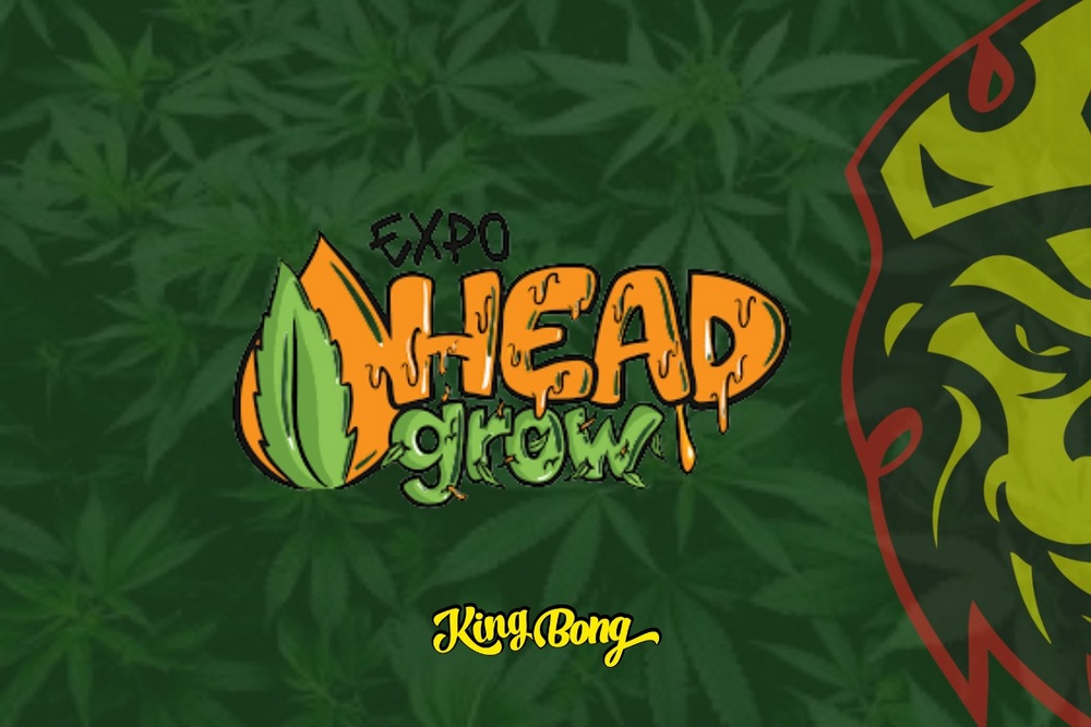 Expo Head Grow: o que é e como participar