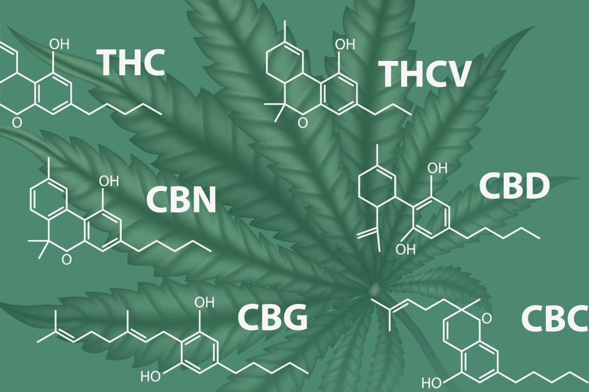 Composição química de diversos canabinoides diferentes, como CBD e THC